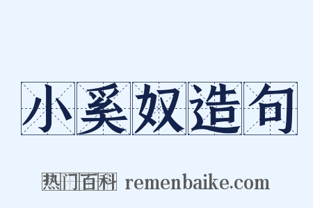 小奚奴造句是什么意思的图片